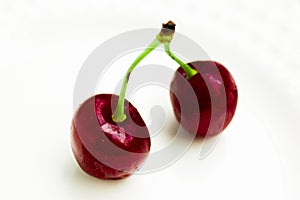 Two isolated red ripe and sweet cherries.copy space photo